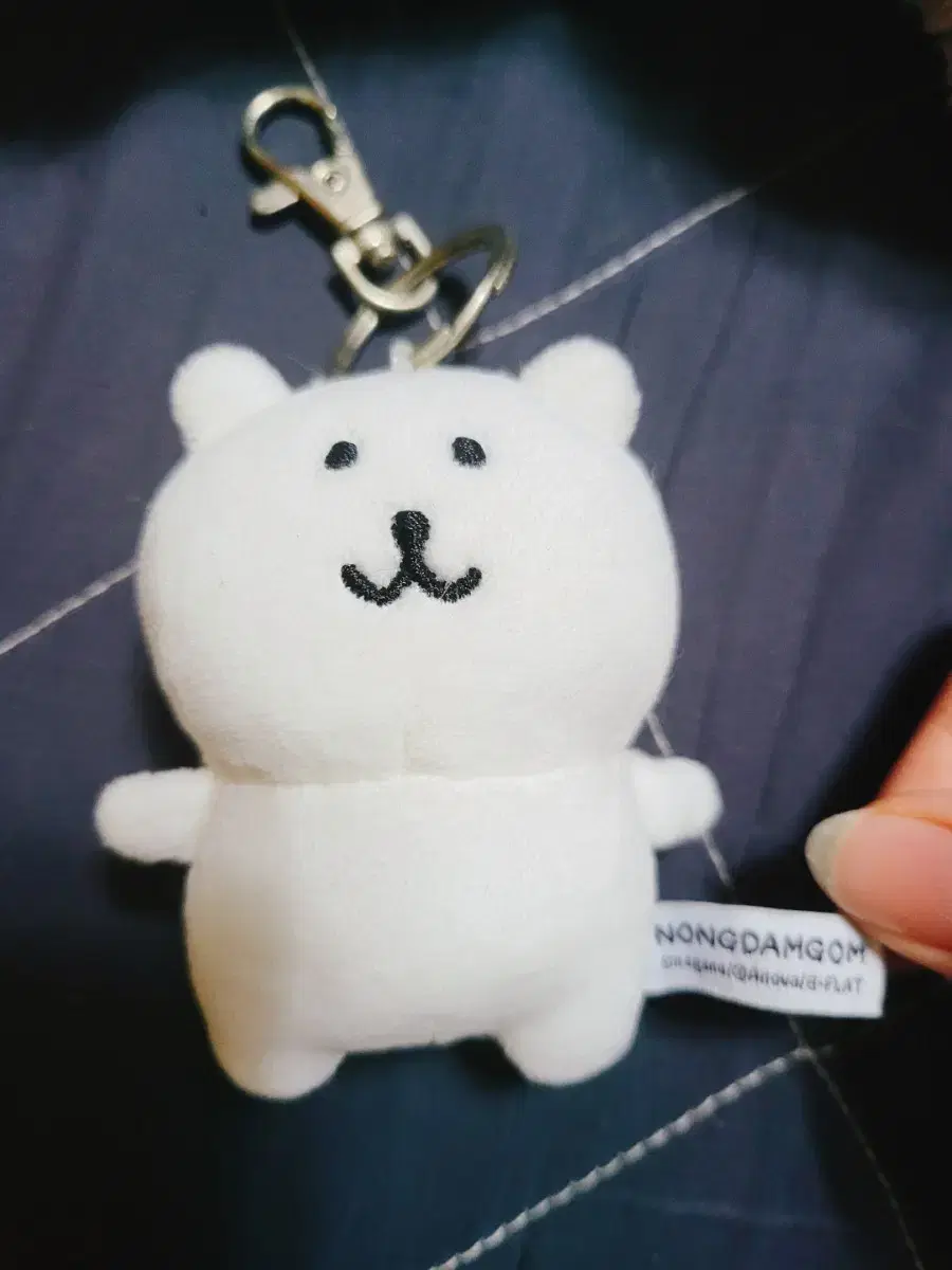 돌앤돌스 ) 농담곰 기본 8cm